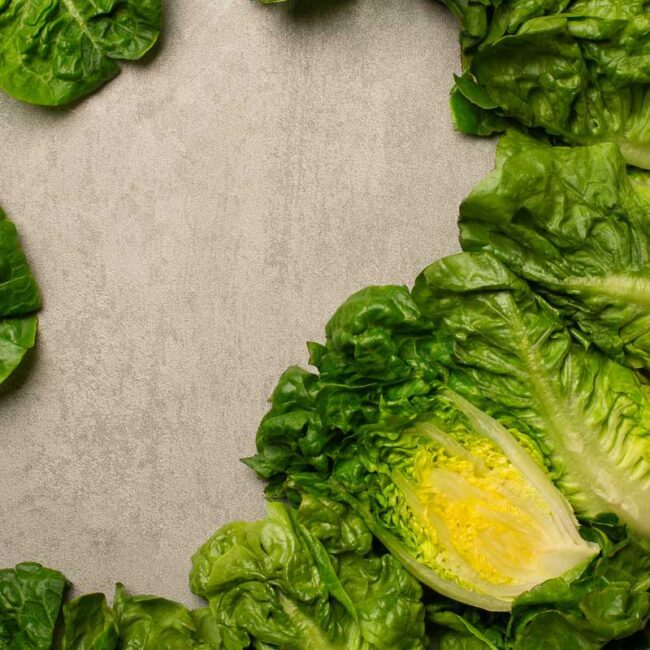 Adrian Crook Cuisine food photography of gem lettuce