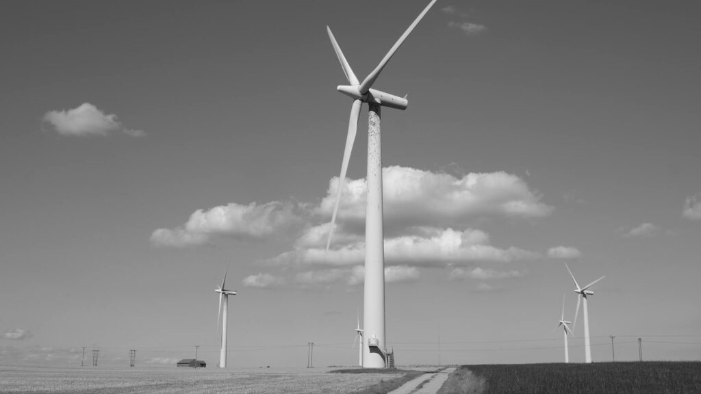 windmills1